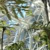 Amazon spheres, restoration technology