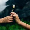 Person giving someone a flower