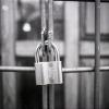 Security padlock on a fence